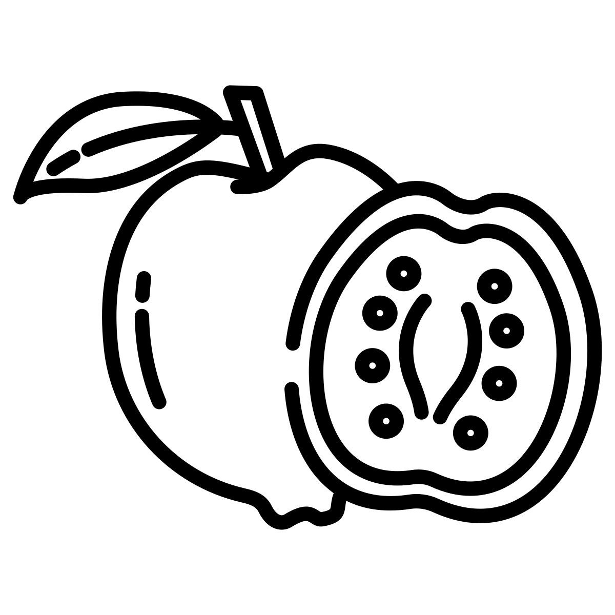番石榴 icon