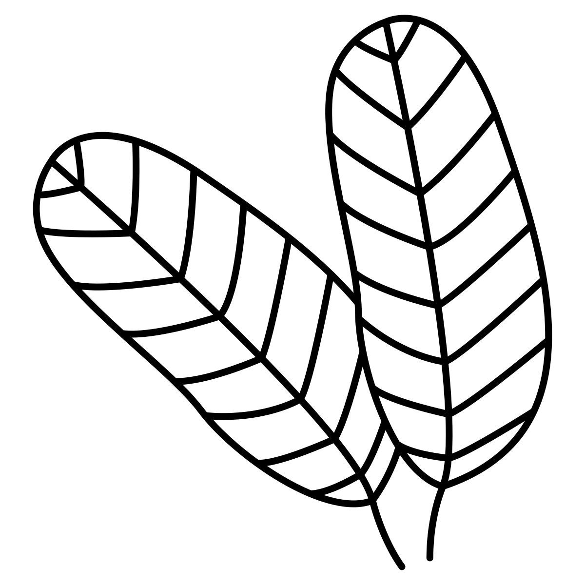 番石榴 icon