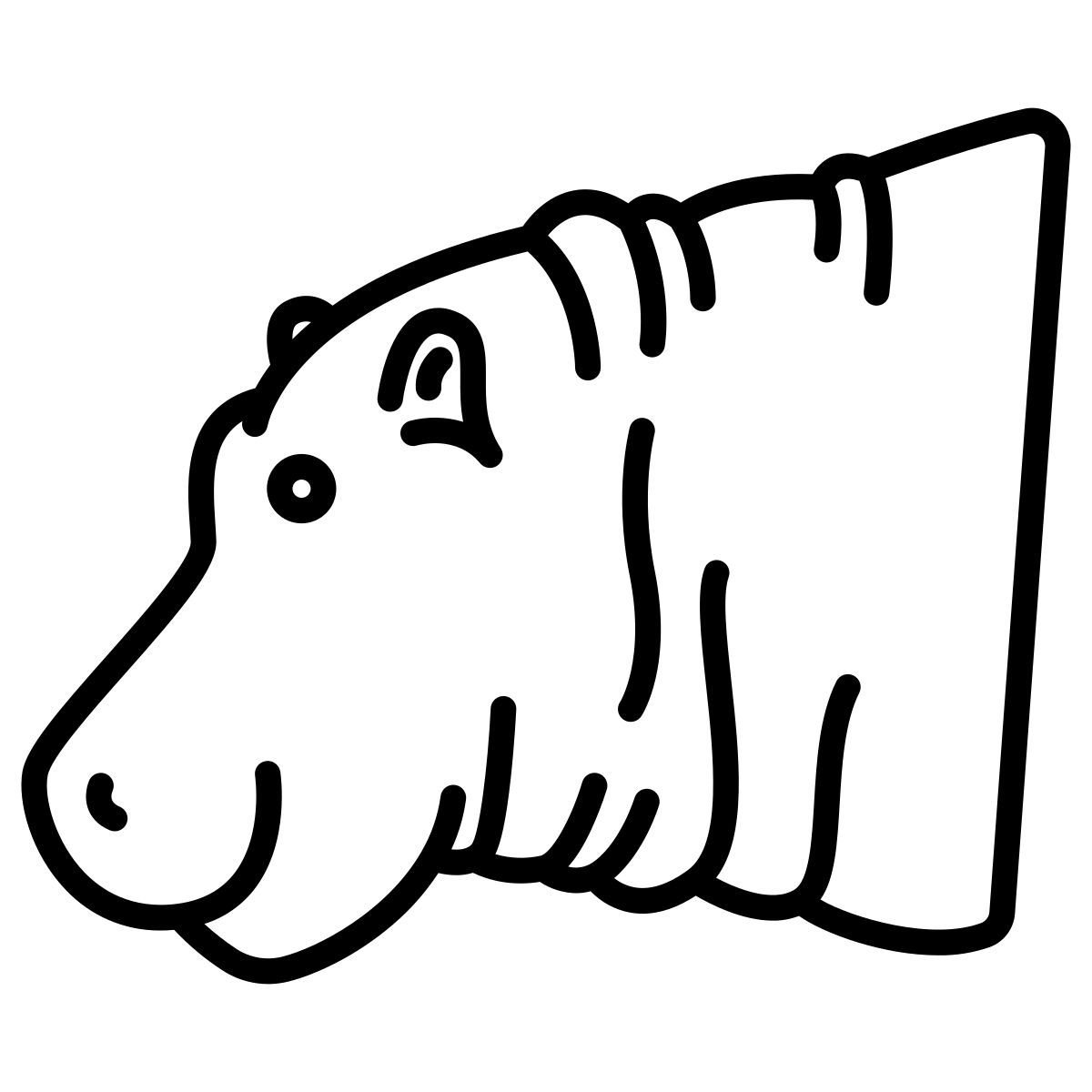 hipopótamo icon