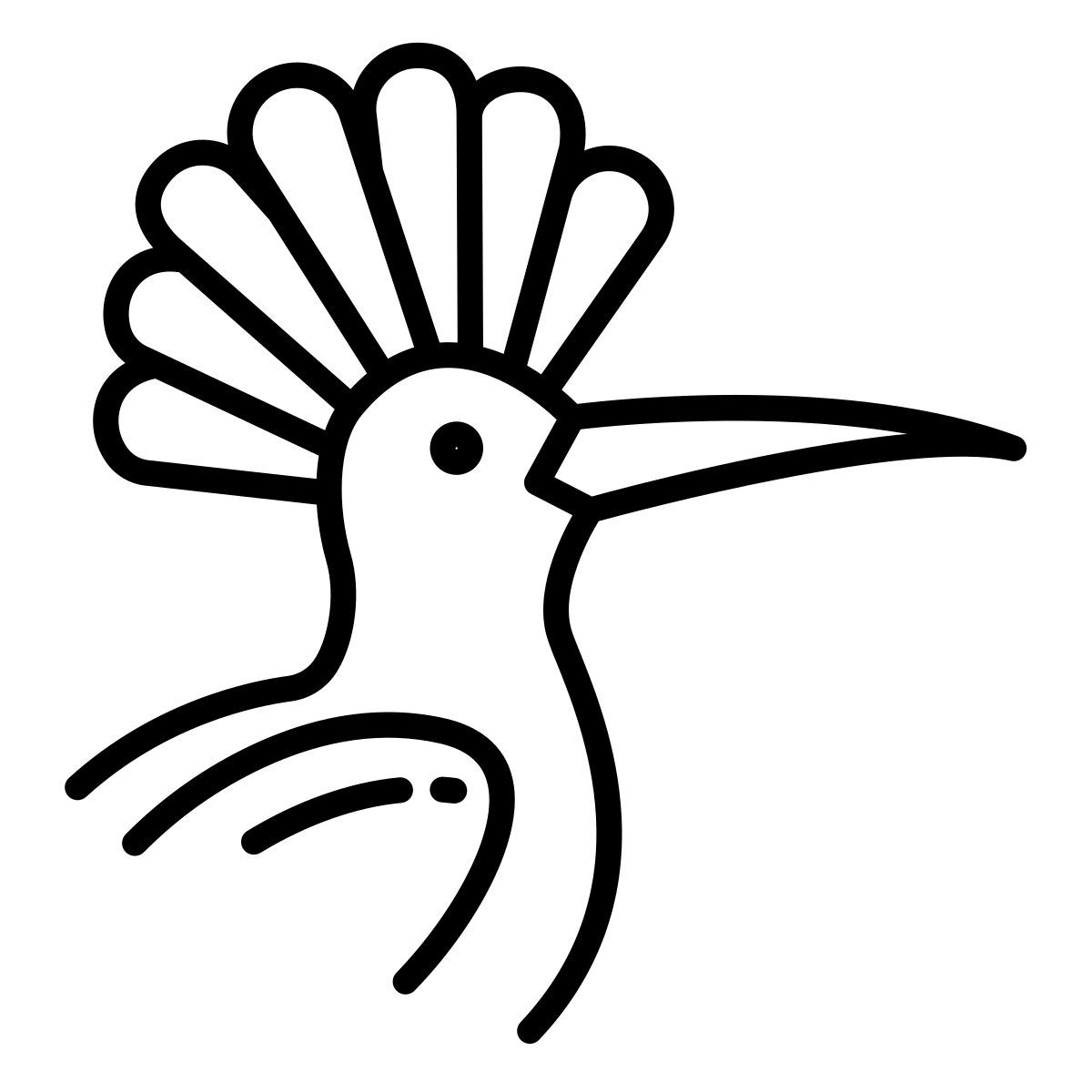 hoopoe icon