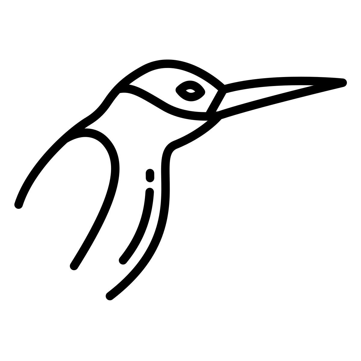 humming bird icon