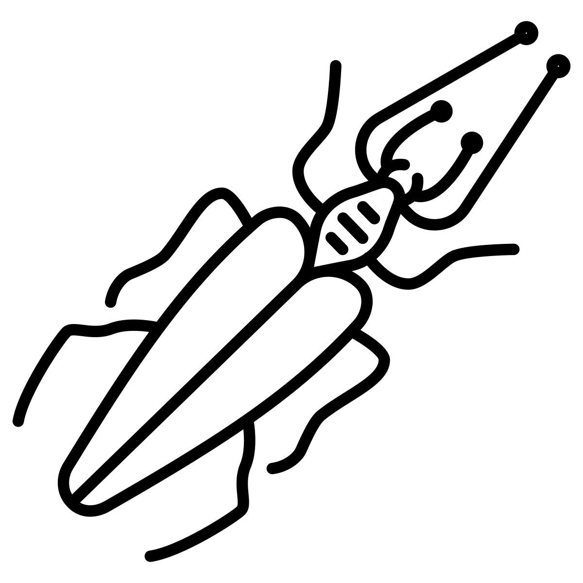 insect icon
