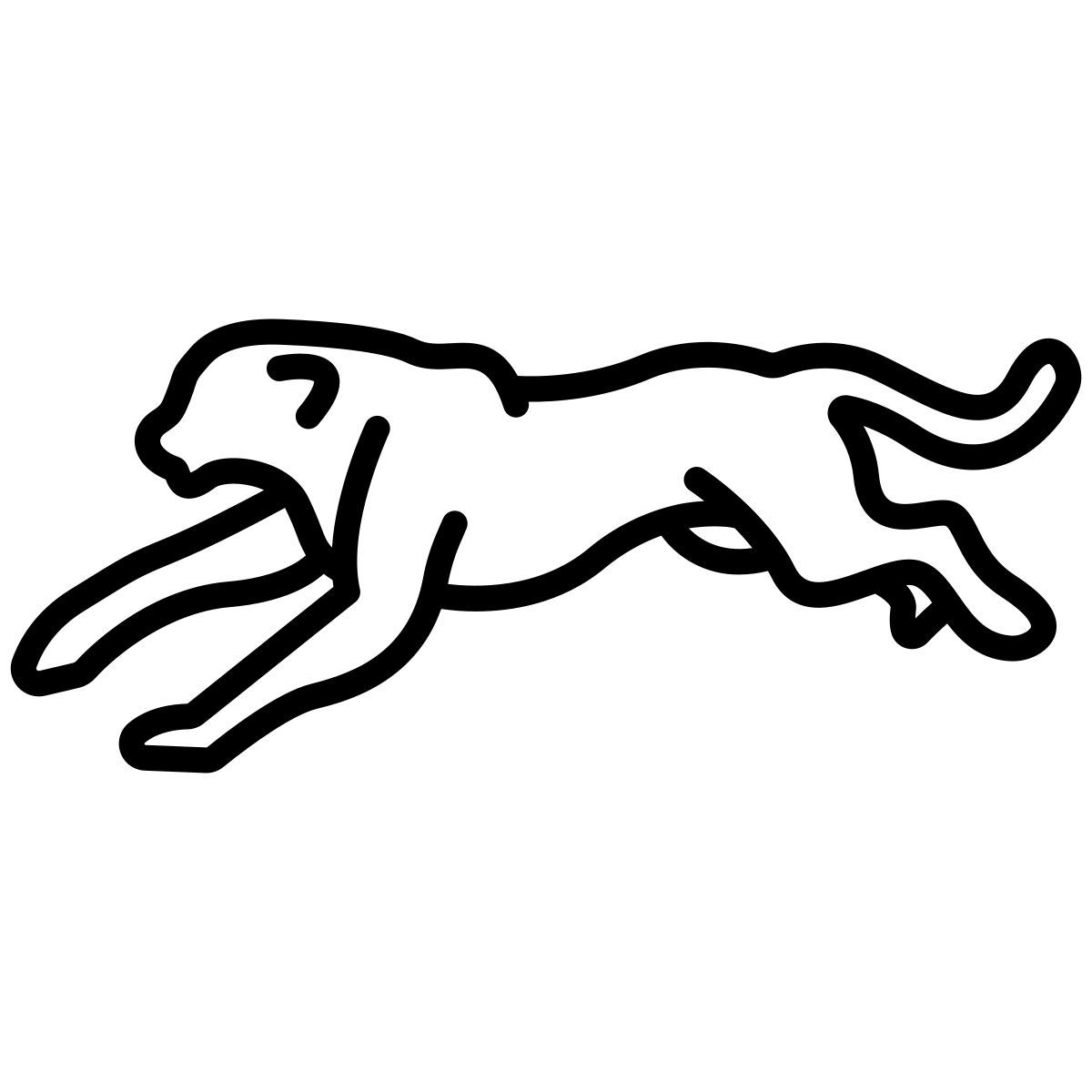 jaguar icon