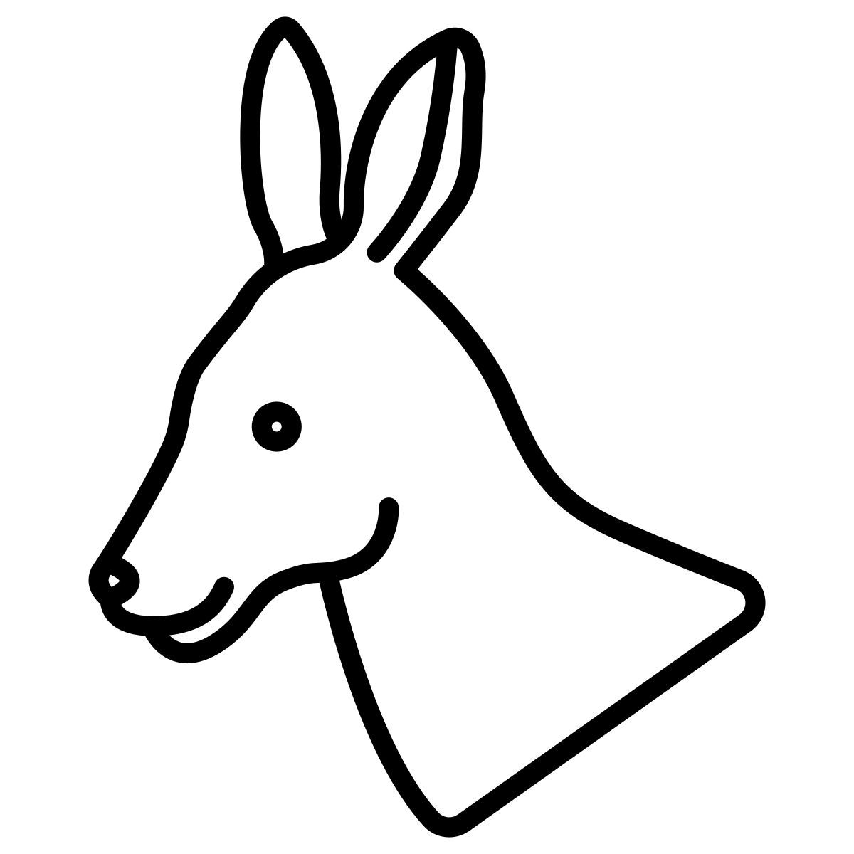 kangaroo icon