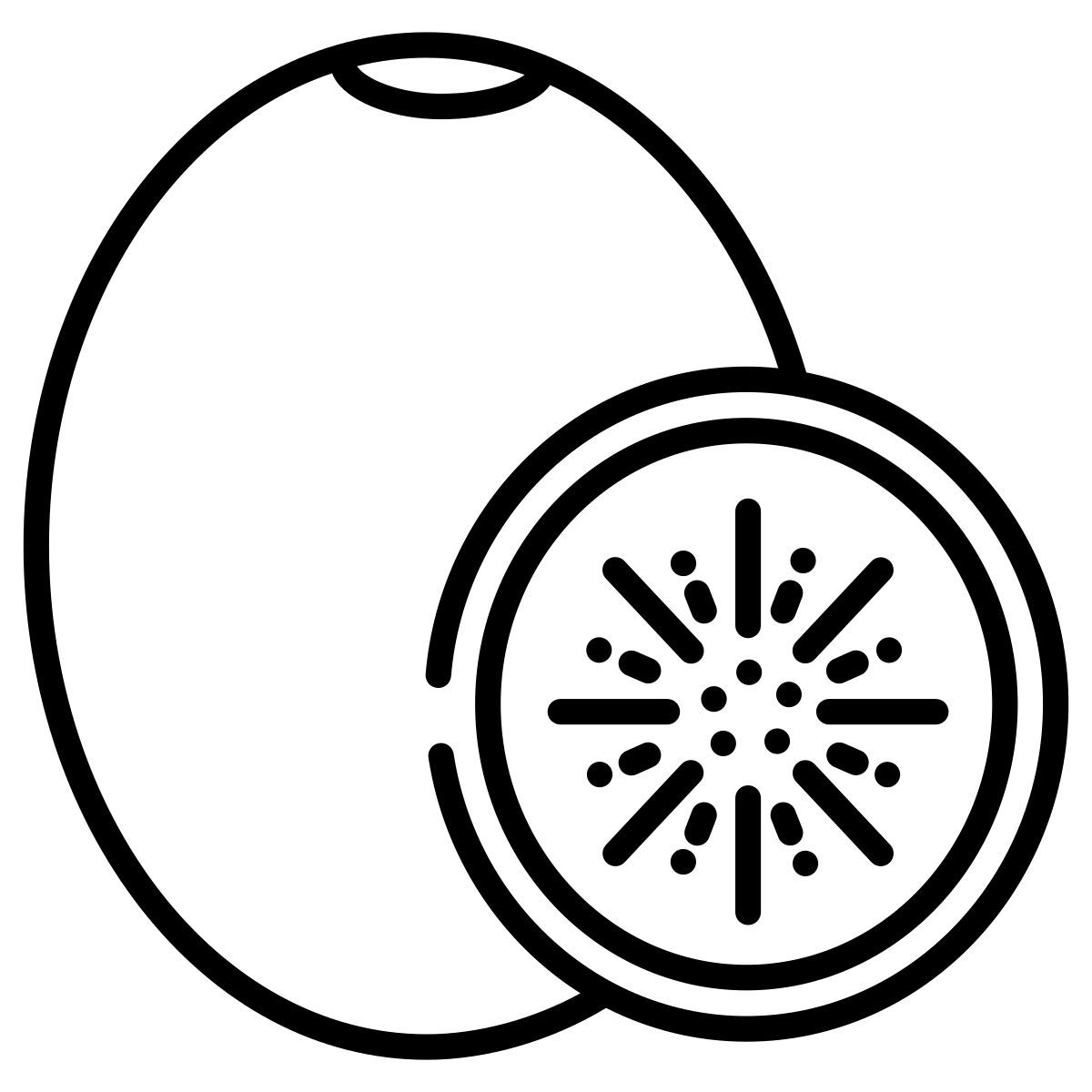 kiwi icon