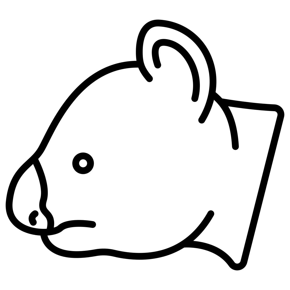 koala icon
