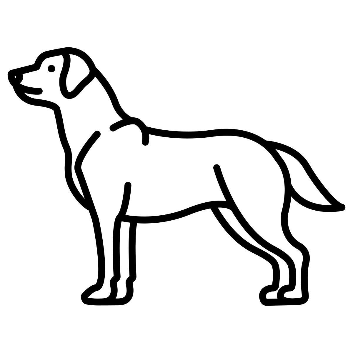 labrador retriever icon