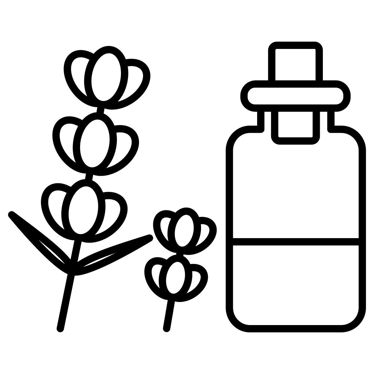 lavanda icon