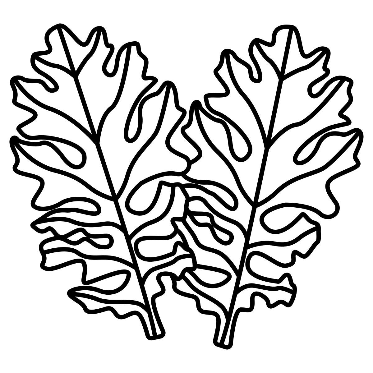 leaf icon