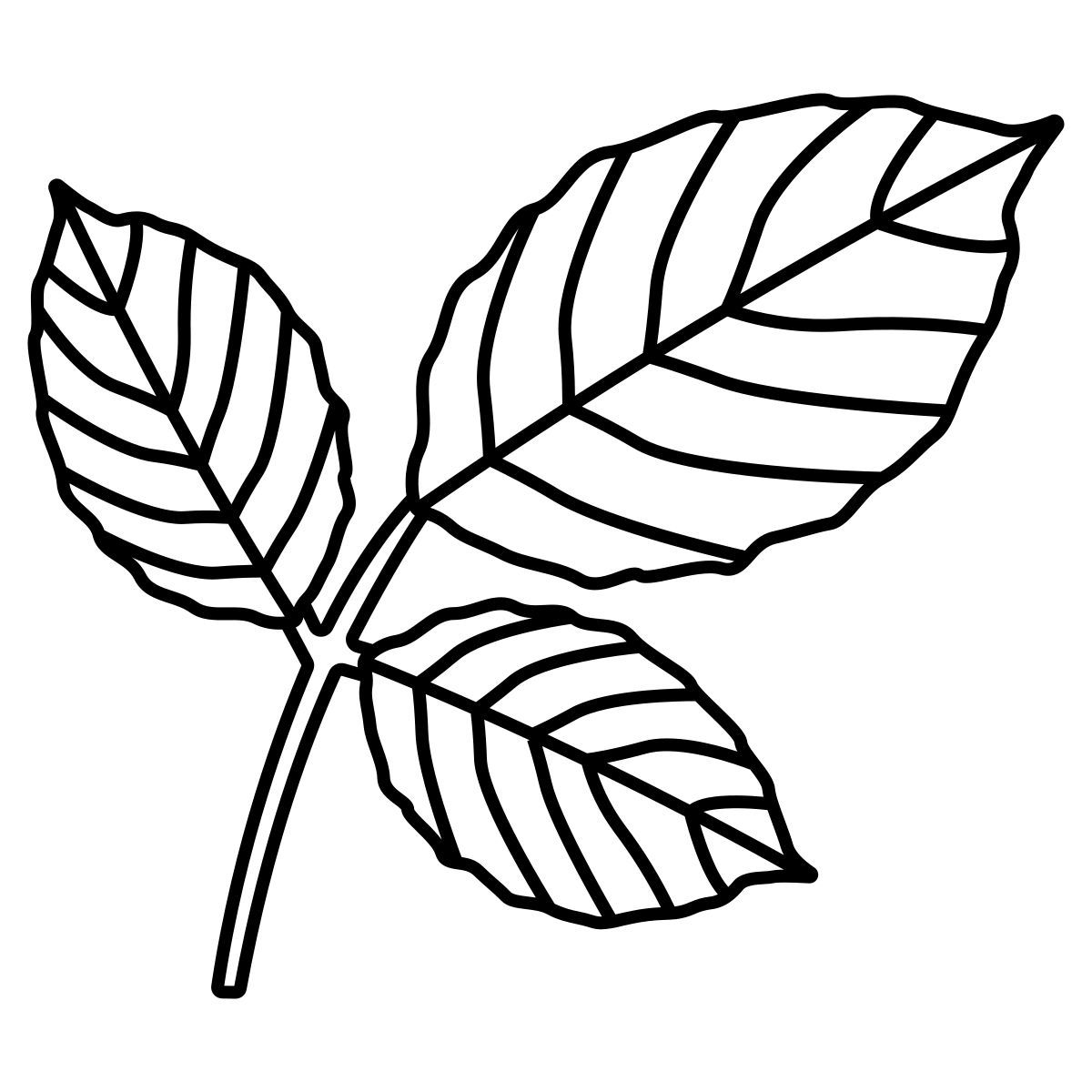 leaf icon