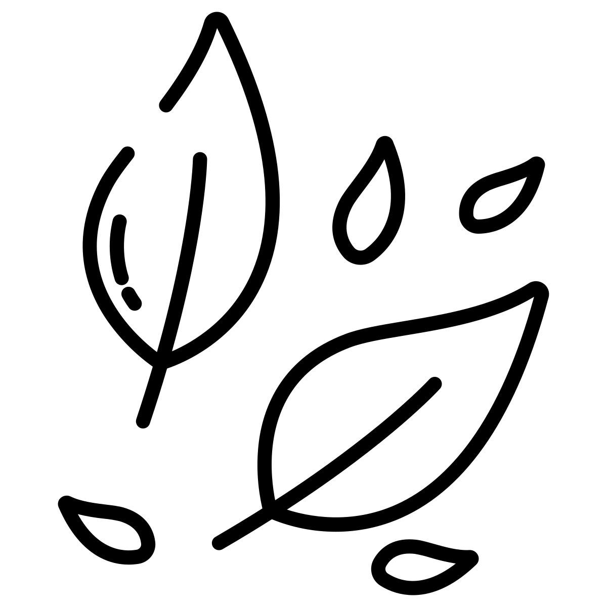 leaves icon