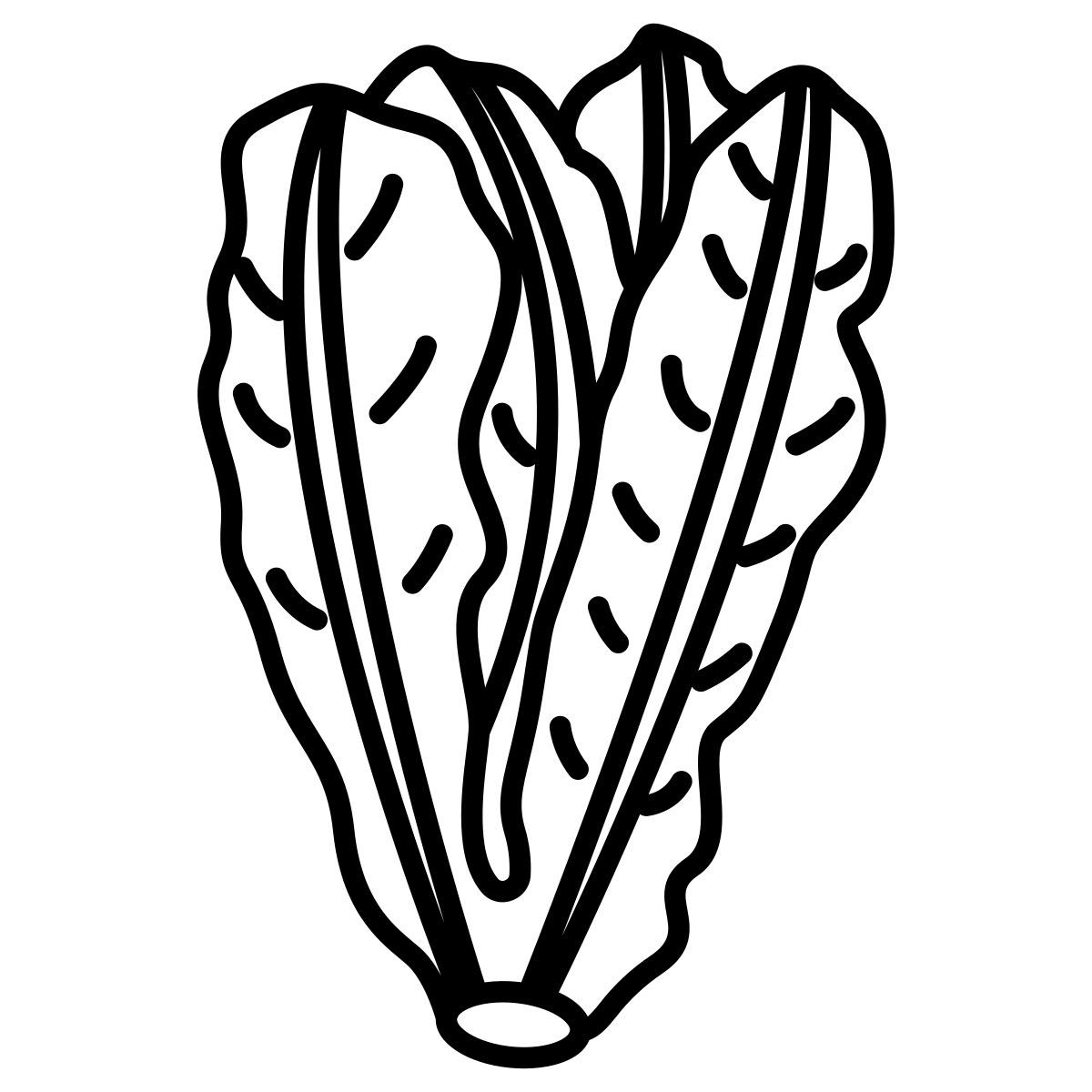 lettuce icon