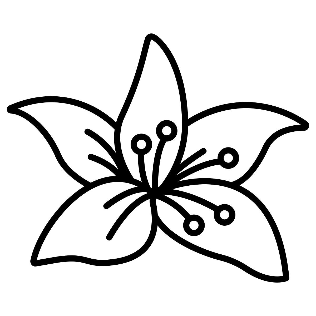 lily icon