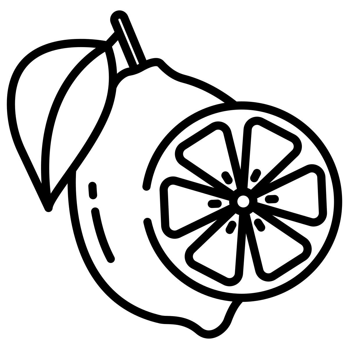 lime icon