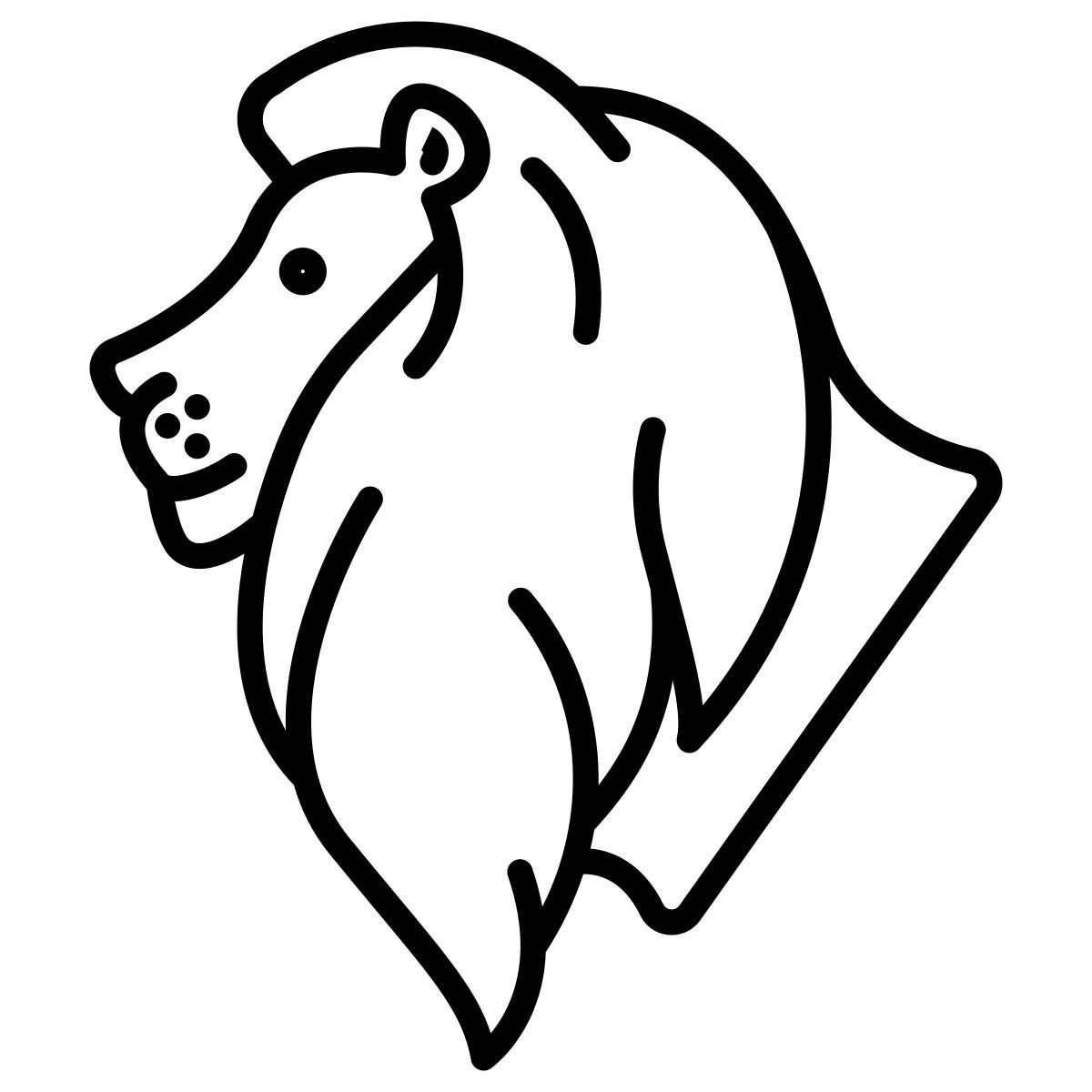 lion icon