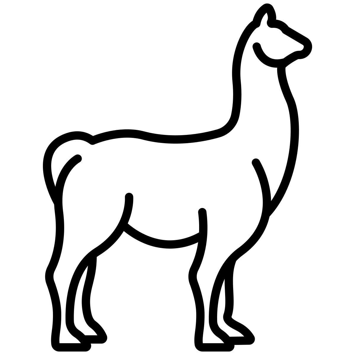 llama icon