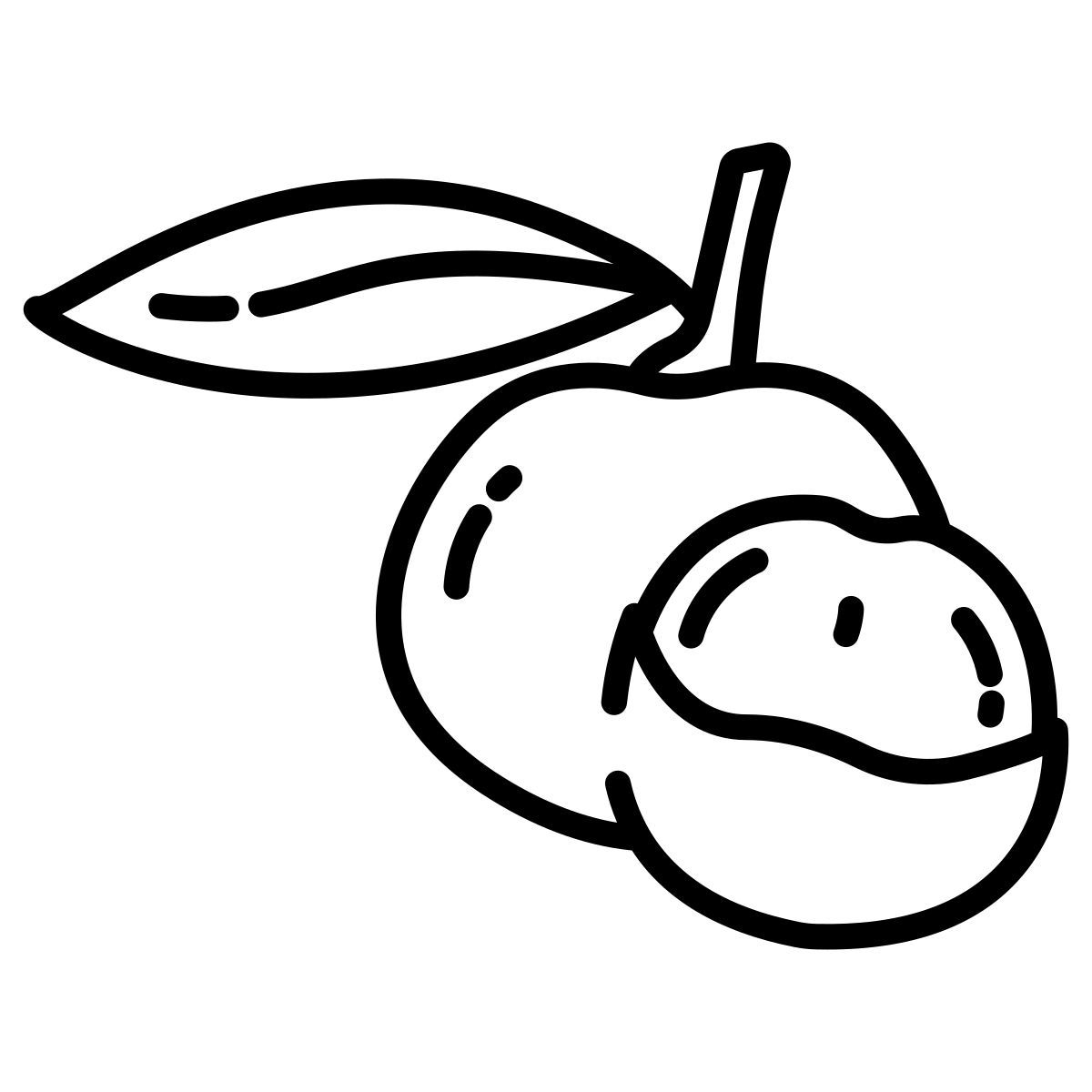 largo icon