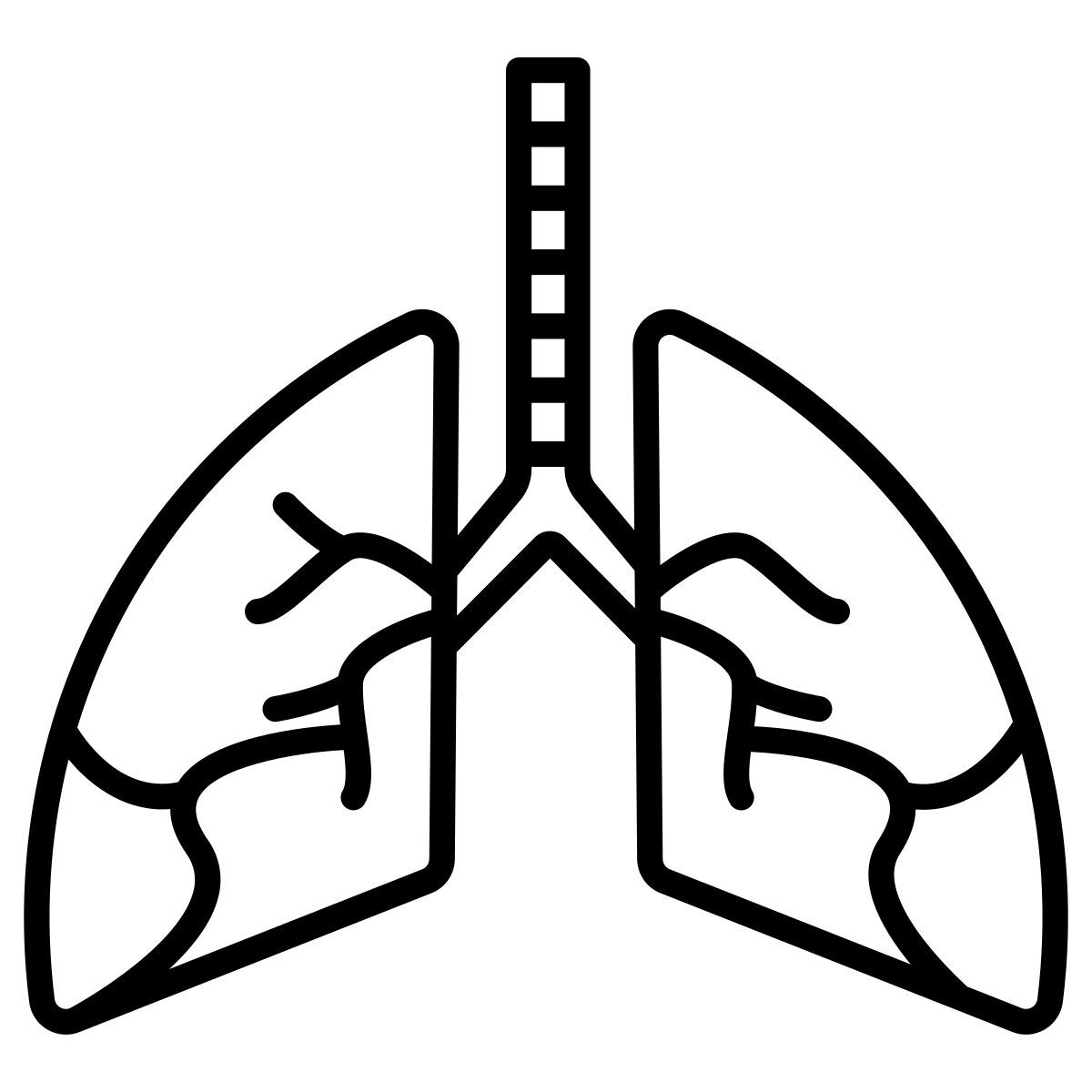 lung icon