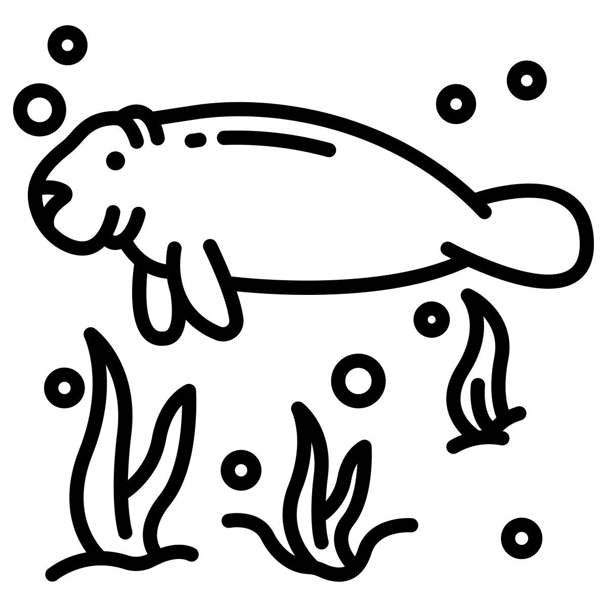manatee icon