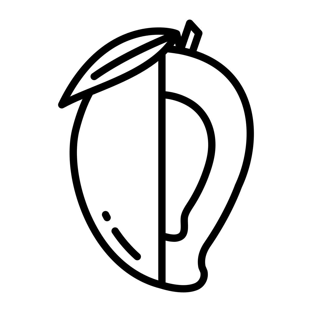 mango icon