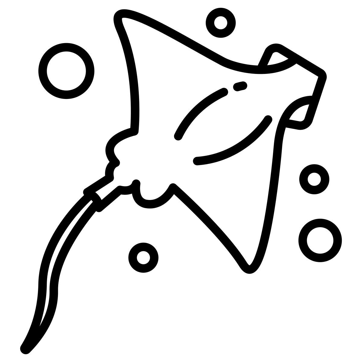 manta ray icon