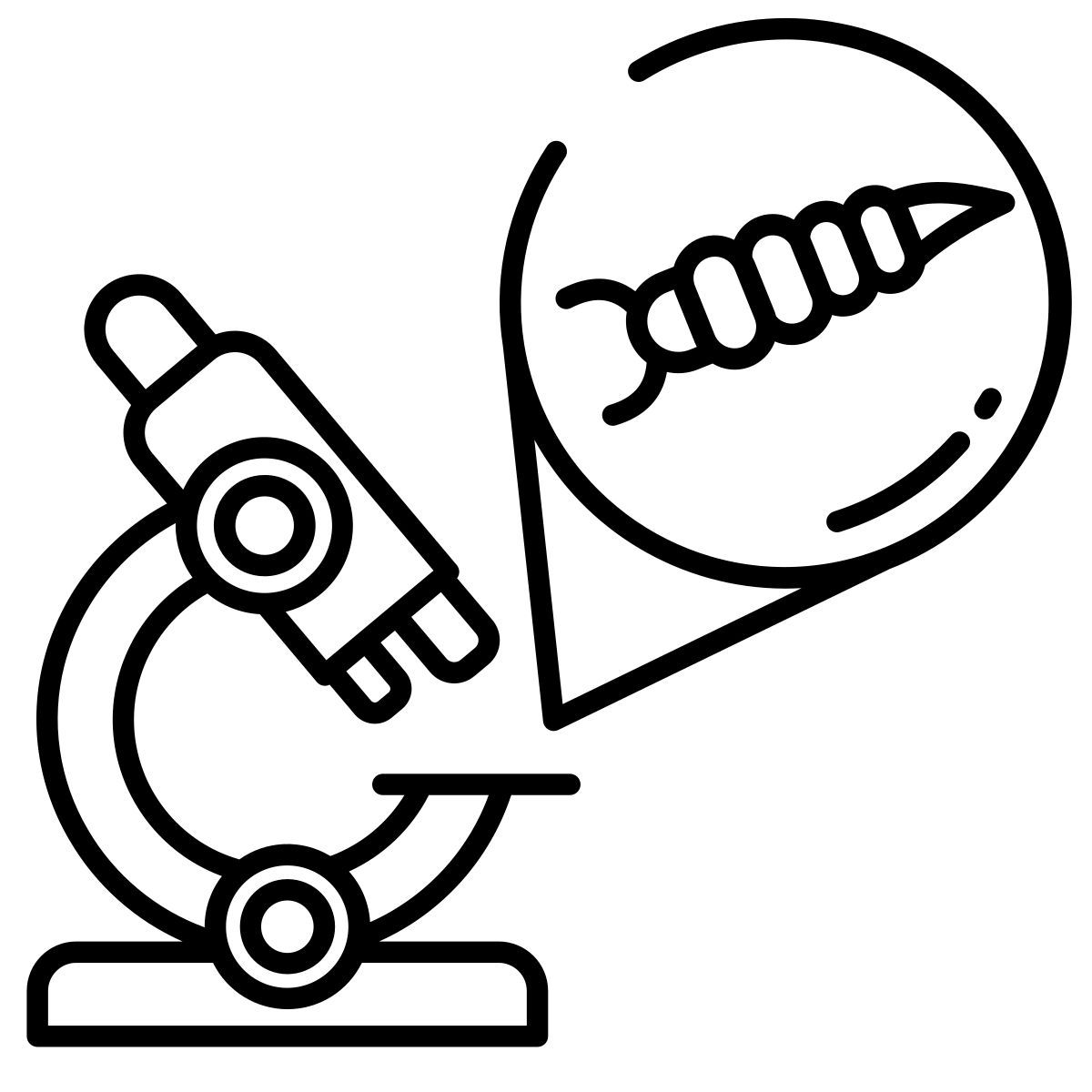 microscope icon
