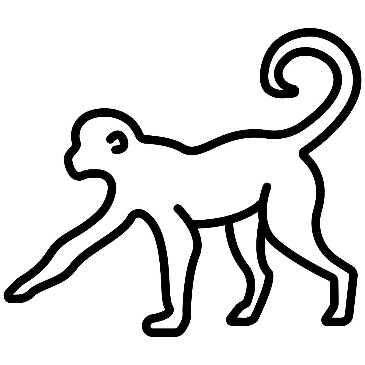 monkey icon