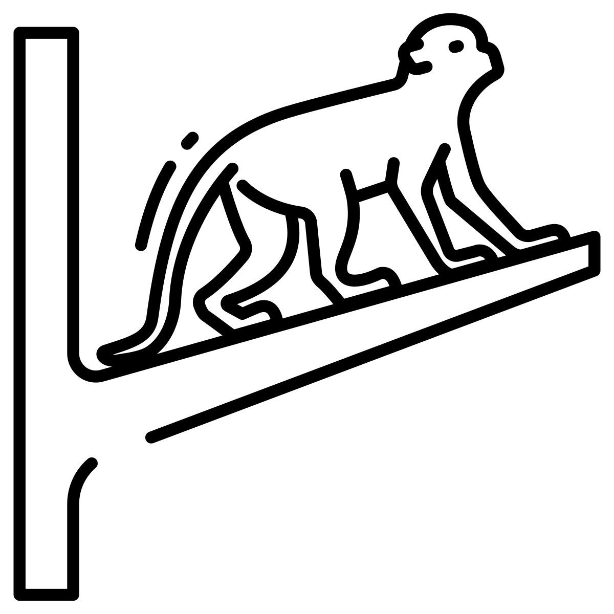 monkey icon