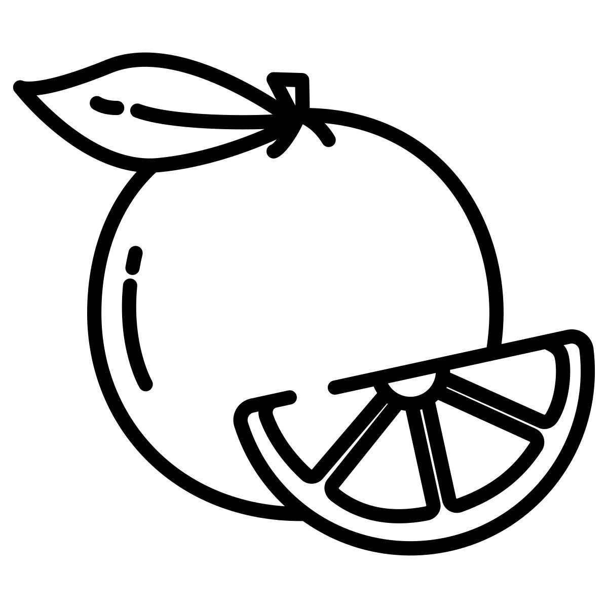 orange icon