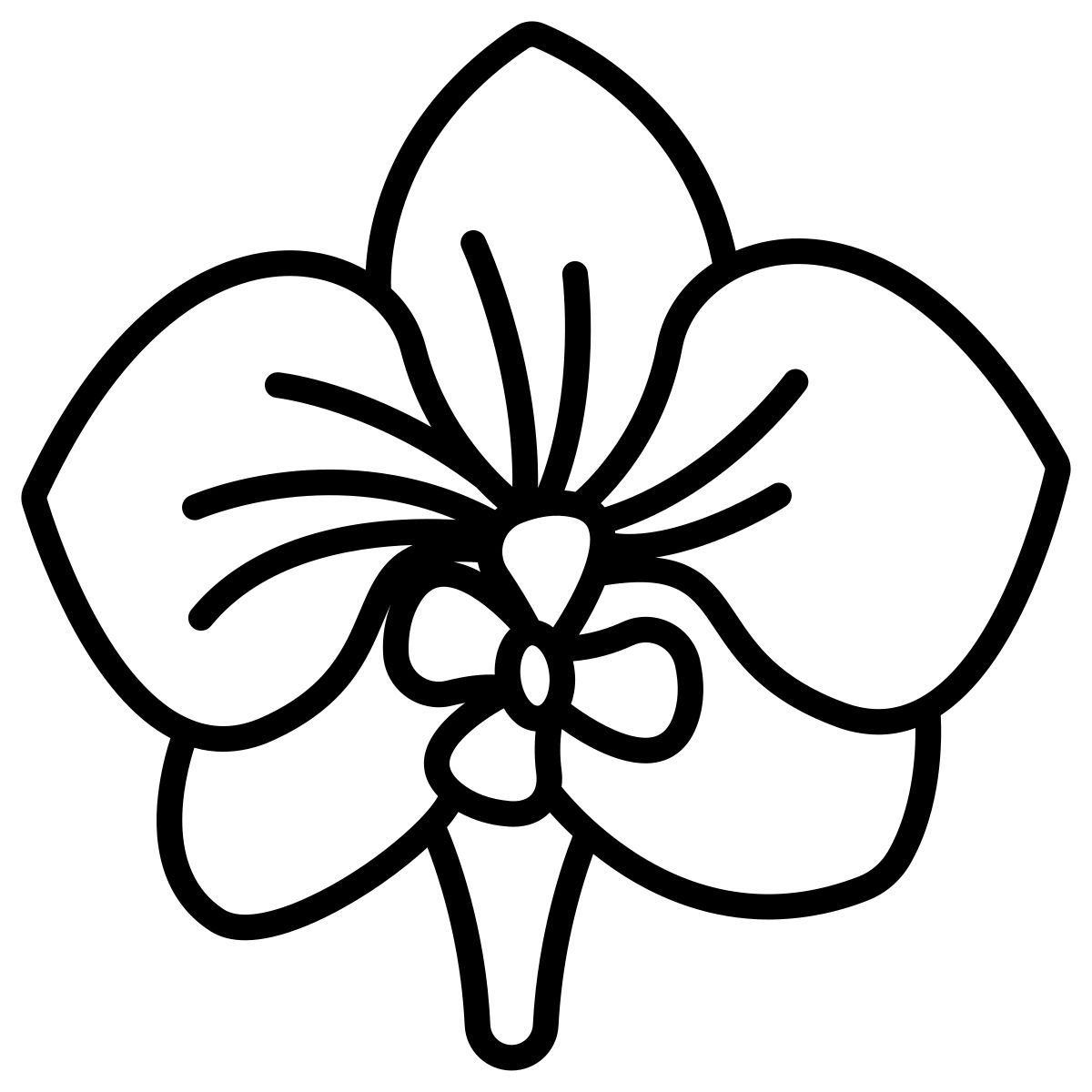 orchid icon