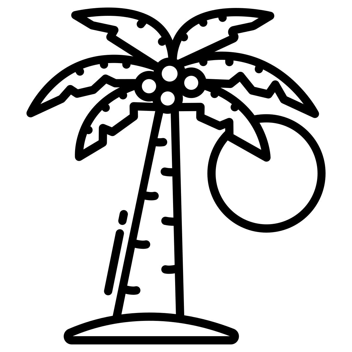 palm tree icon