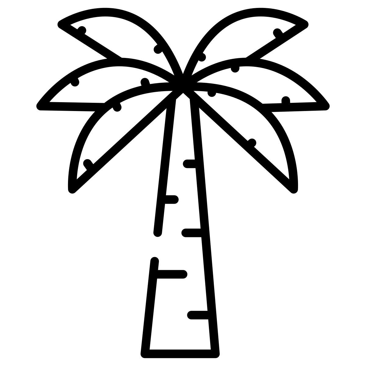 palm tree icon