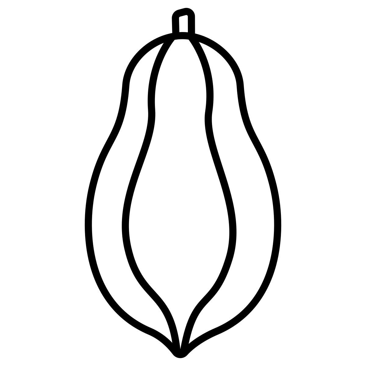 papaya icon