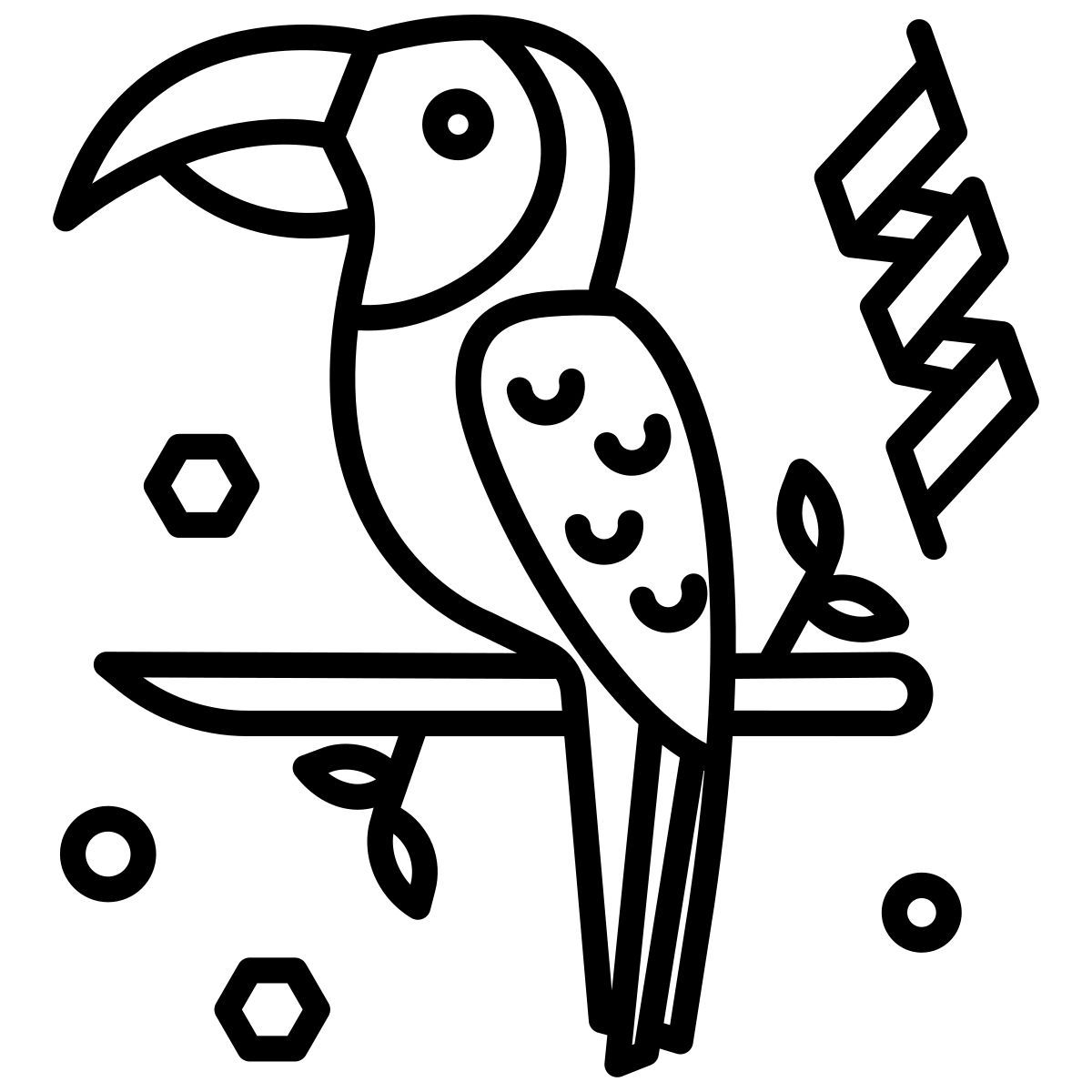 parrot icon