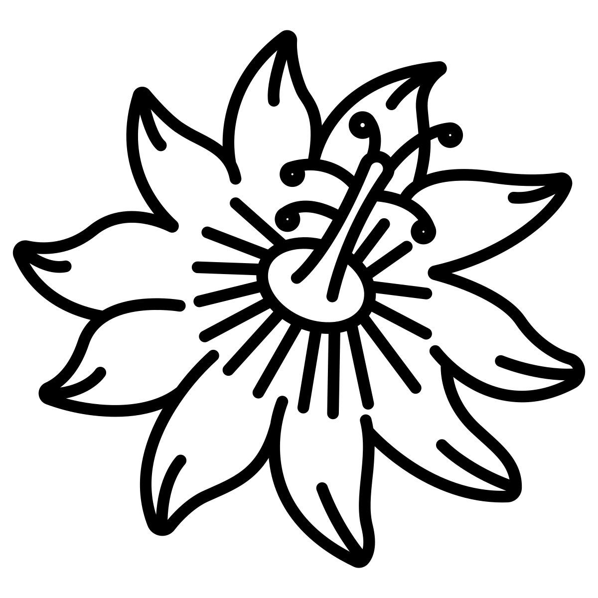 paixão icon