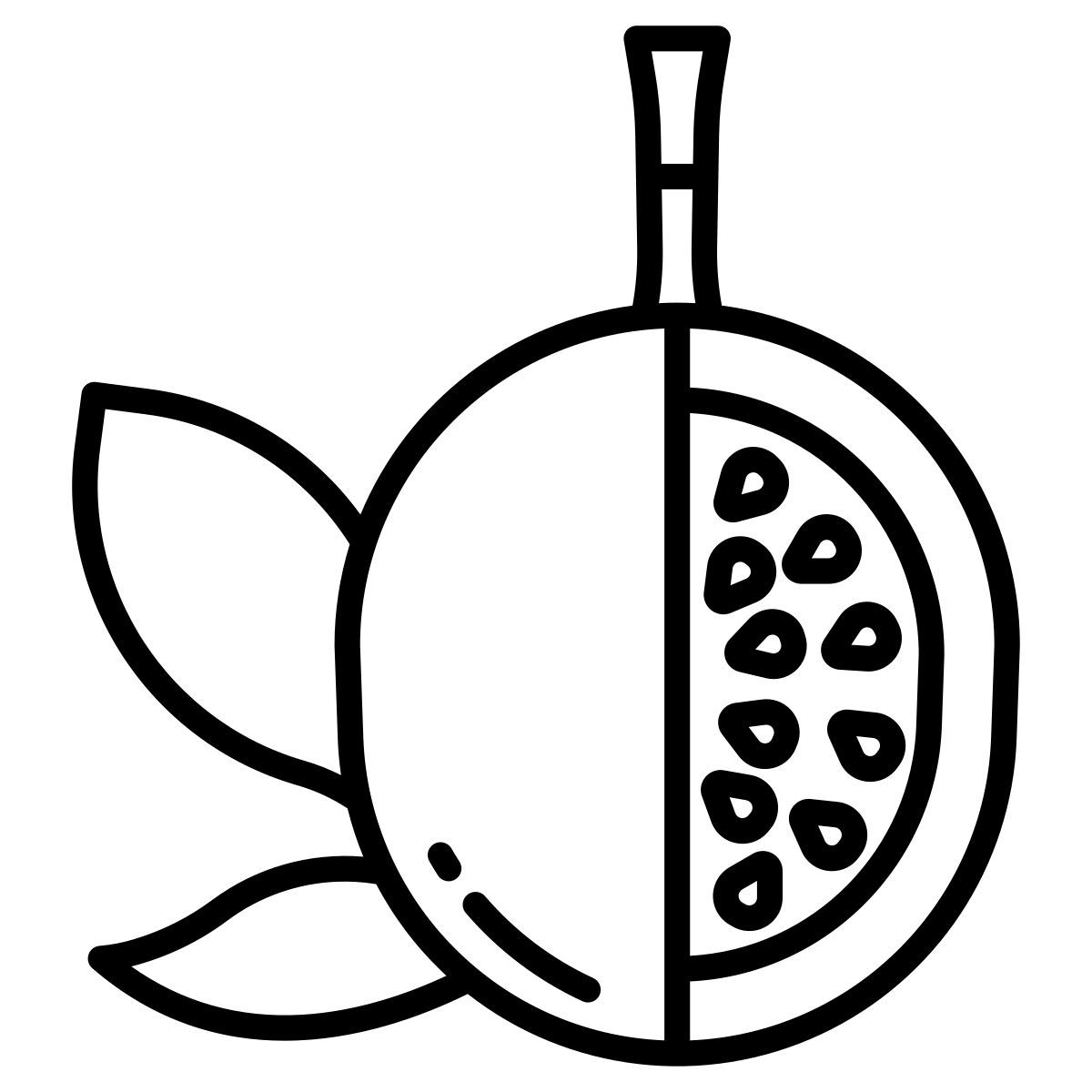 passion fruit icon