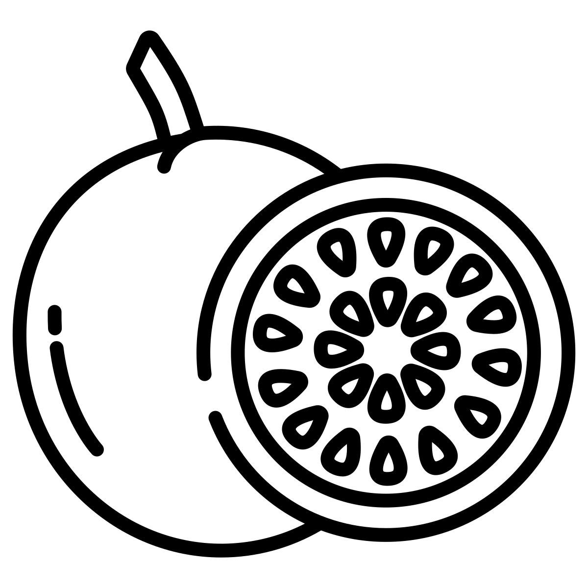 passion fruit icon