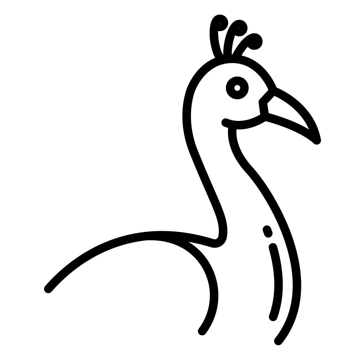 孔雀 icon
