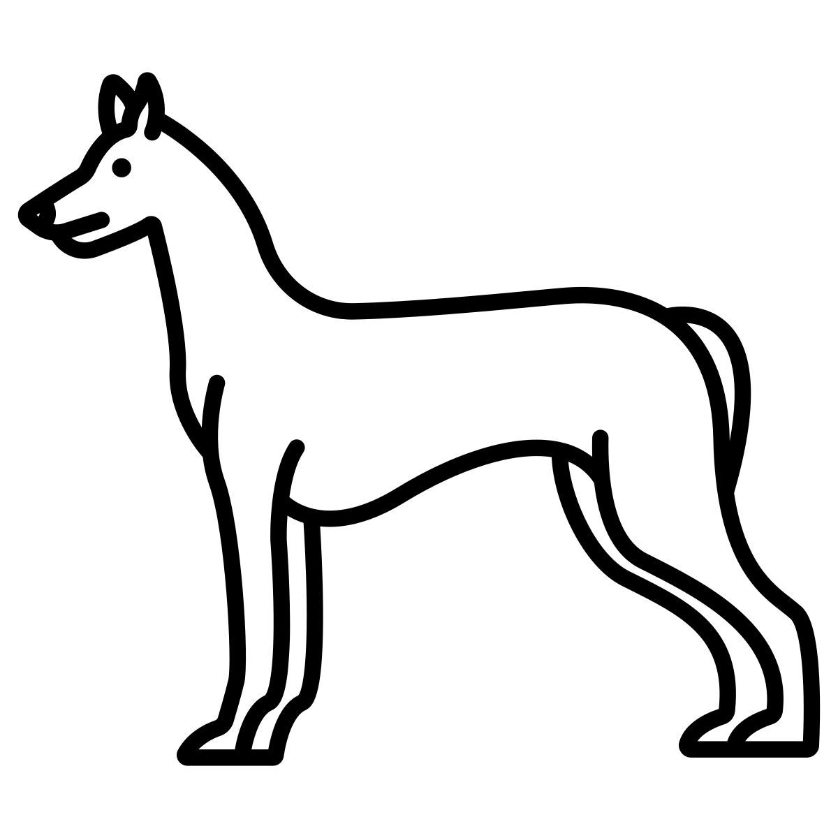 pharaoh hound icon