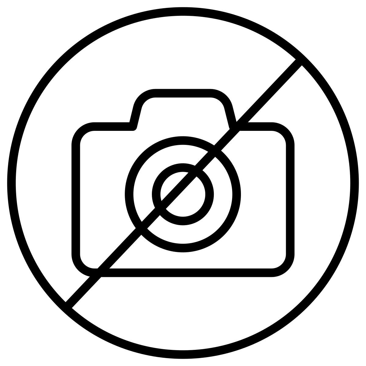 photo icon