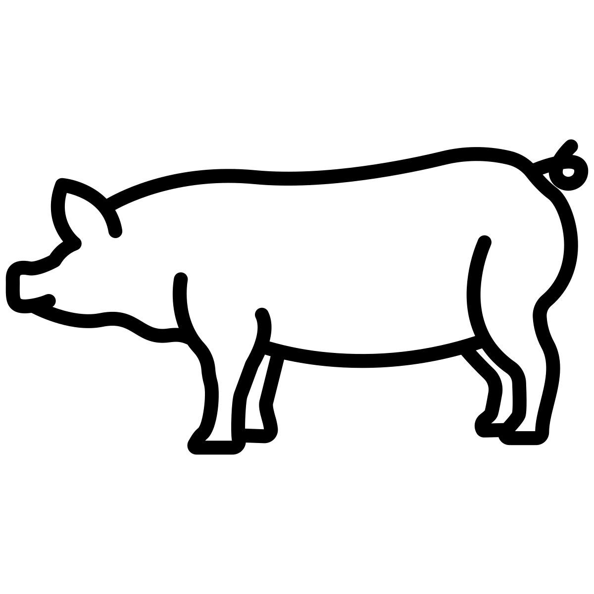 pig icon