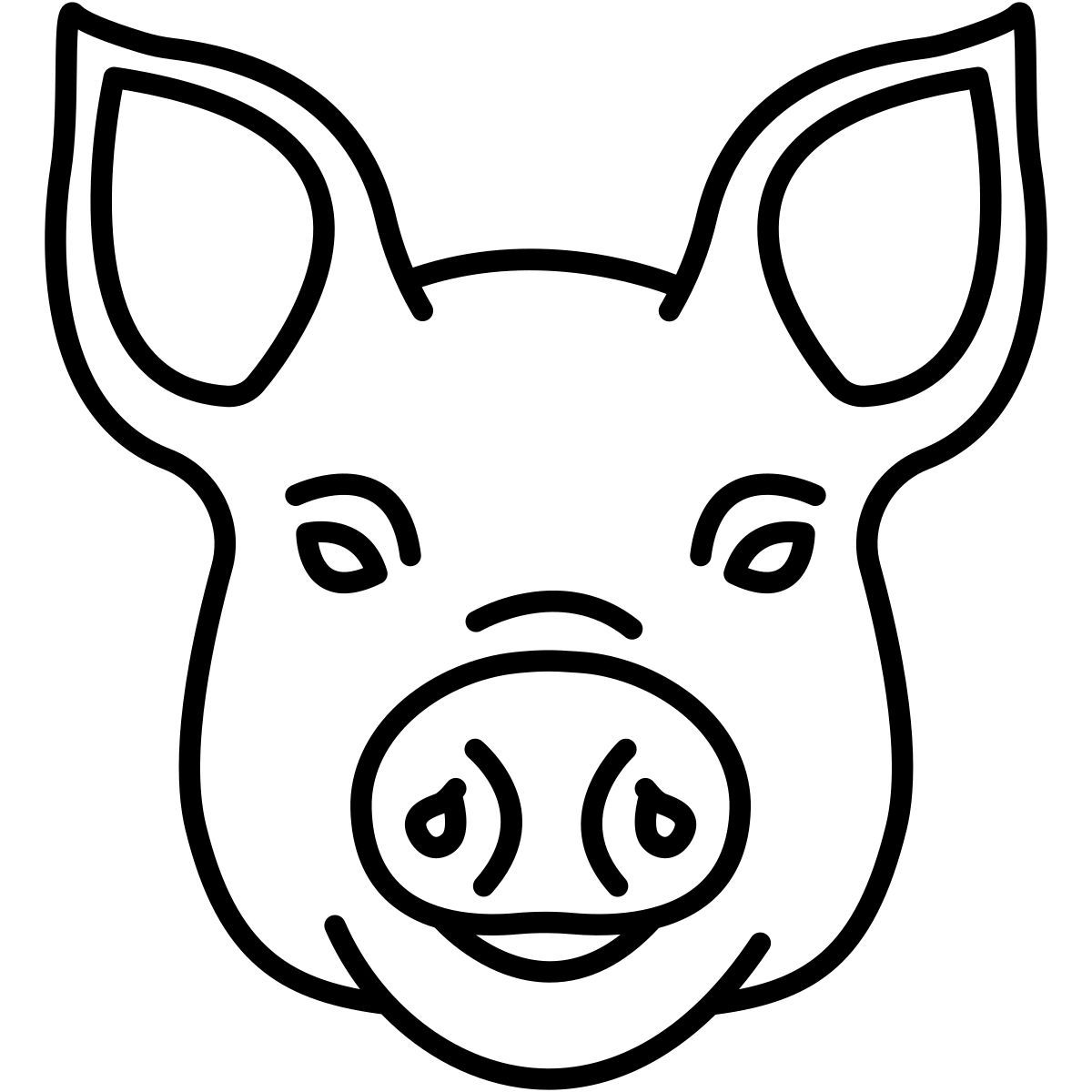 pig icon