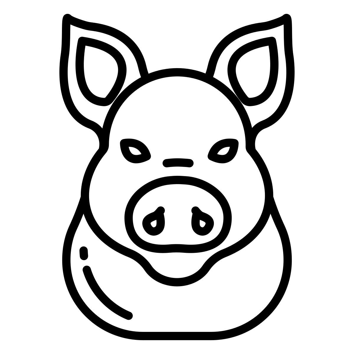 pig icon