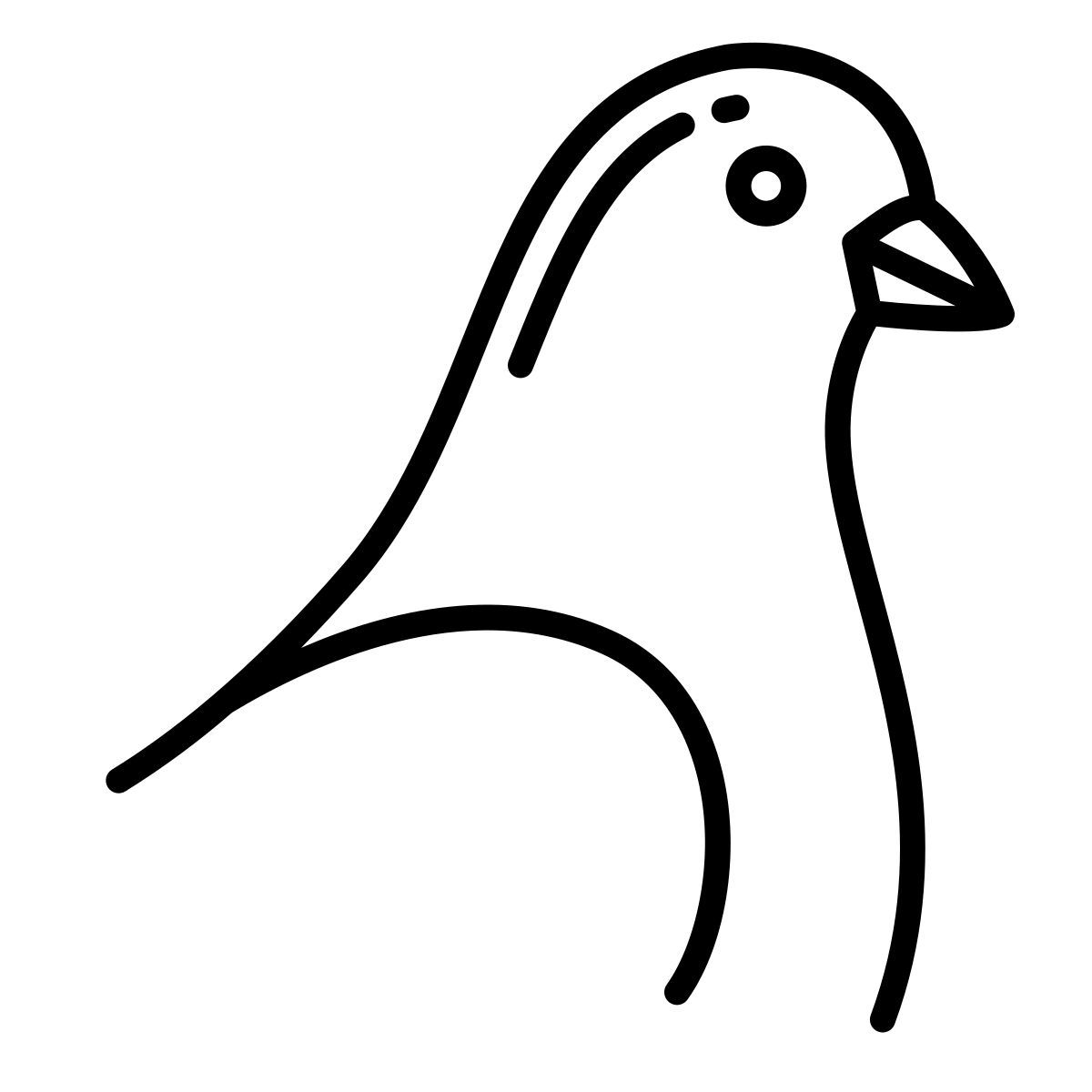 pigeon icon