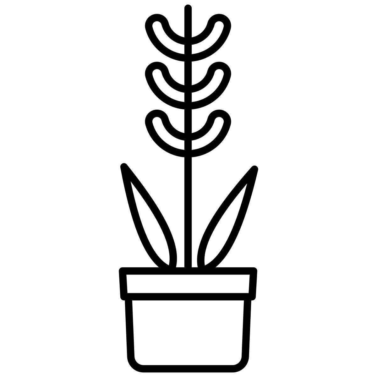 plant icon