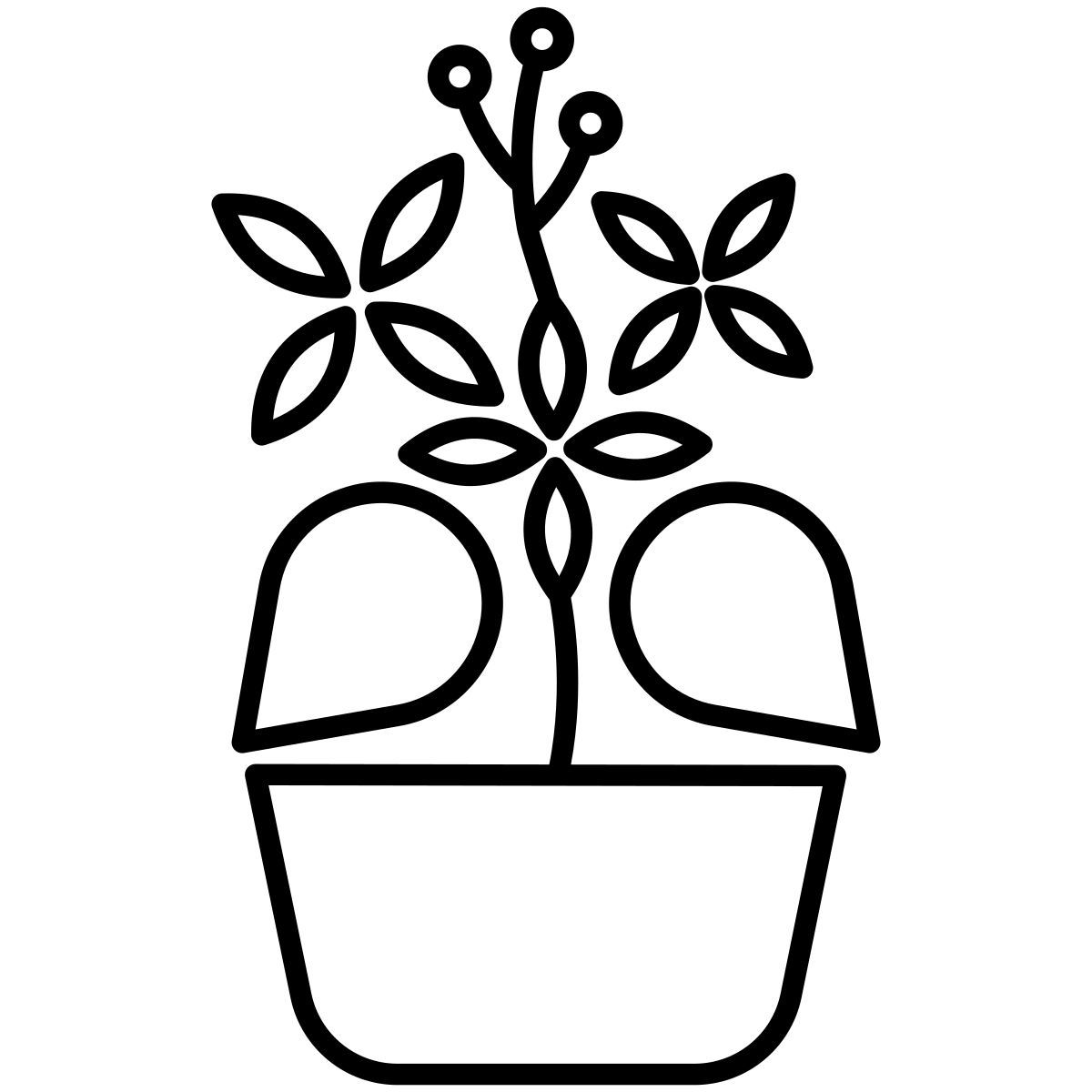 plant icon