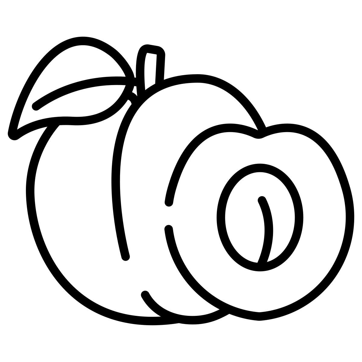 plum icon