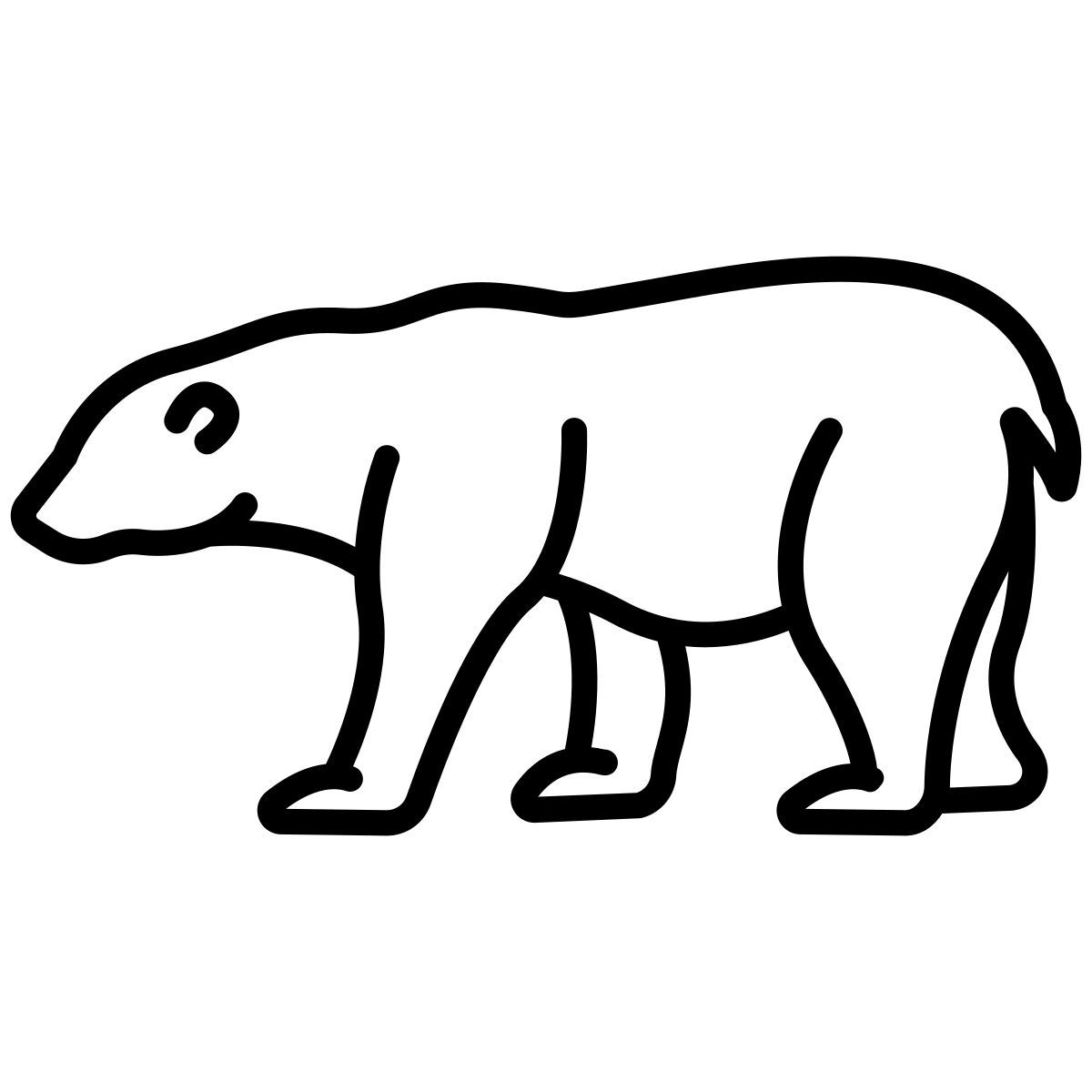 orso polare icon