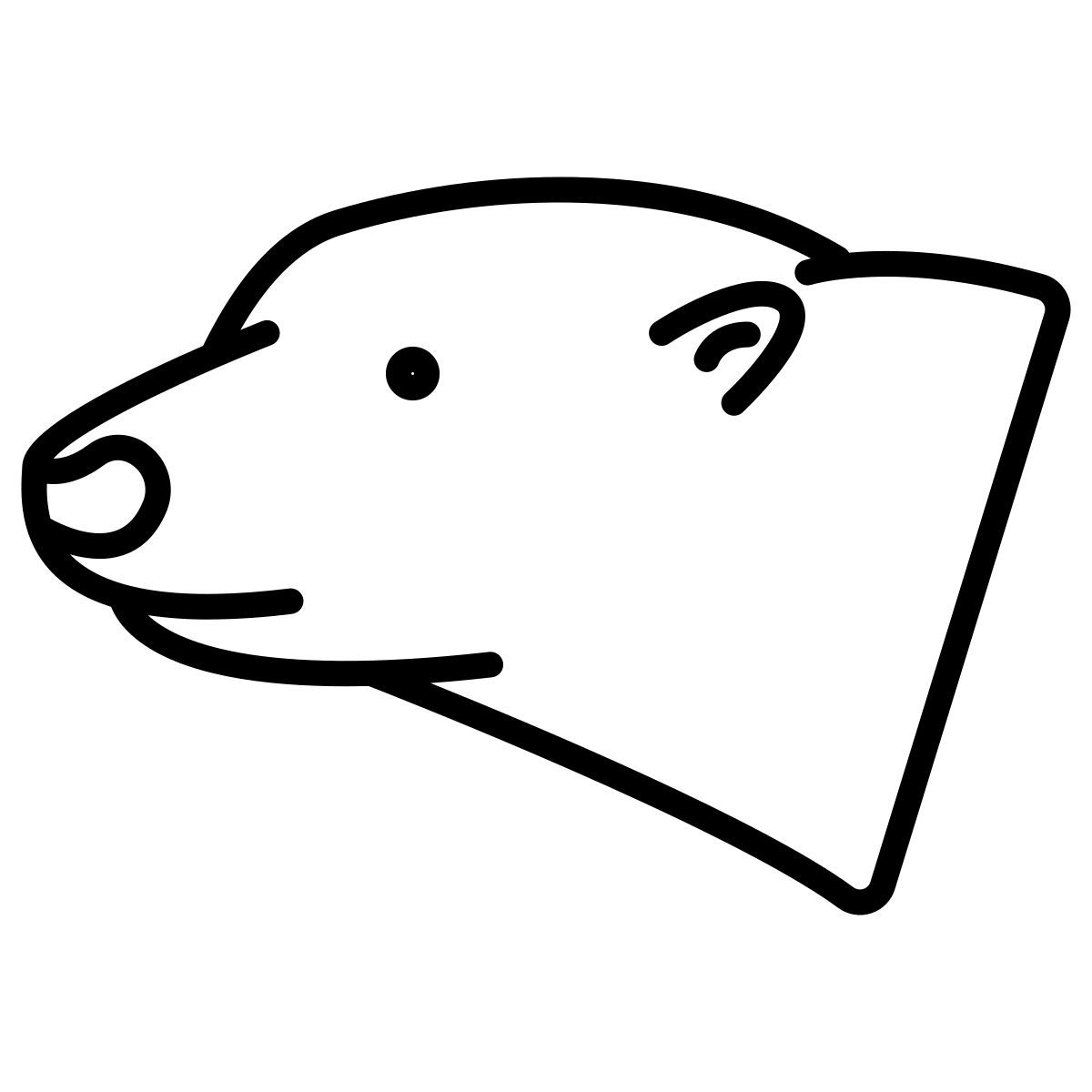 orso polare icon