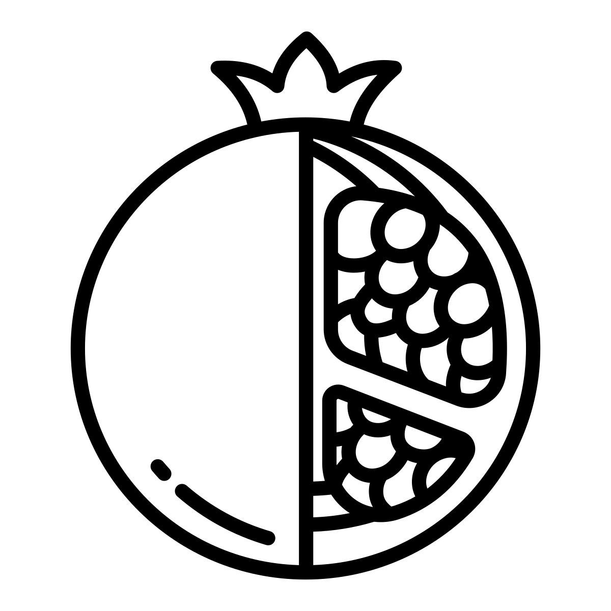 pomegranate icon